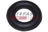 Подушка крепления глушителя Fiat Ducato (94-) 2.5 D/TD (FT84504) Fast FAST 'FT84504 (фото 1)