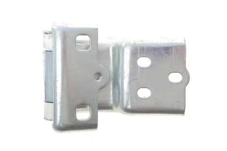 Петля двери задней левой нижняя Citroen Jumper / FIAT Ducato (06-14) Fast FAST FT95412