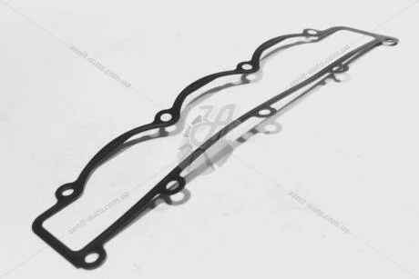 Прокладка коллектора впускного Fiat Ducato 2.3D FIAT Fiat/Alfa/Lancia '504037859