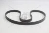 Ремень поликлиновый (5PK1150) Fiat Doblo, Fiorino 1.4i FIAT Fiat/Alfa/Lancia '55232450 (фото 2)