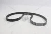 Ремень поликлиновый (5PK1150) Fiat Doblo, Fiorino 1.4i FIAT Fiat/Alfa/Lancia '55232450 (фото 5)