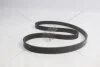 Ремень поликлиновый (5PK1150) Fiat Doblo, Fiorino 1.4i FIAT Fiat/Alfa/Lancia '55232450 (фото 7)