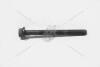 Болт ГБЦ Fiat 500, Cinquecento, Grande Punto, Idea, Linea FIAT Fiat/Alfa/Lancia 7696197 (фото 11)