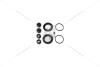 Ремкомплект суппорта заднего Iveco Daily III 01-06 (d=46mm)(Brembo) FRENKIT 246014 (фото 3)