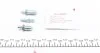 Ремкомплект супорта переднього VW Polo III (95-06), Golf III (93-99), Passat (B3/B4) (88-97) (d=48mm)(Ate) Frenkit FRENKIT '248935 (фото 7)