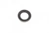 Ремкомплект суппорта заднего MB Vito/Viano (W639)(d=38mm)(Bosch)(+поршень/направляющие) Frenkit FRENKIT 738128 (фото 8)