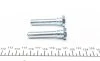 Направляющая суппорта заднего (комплект) Honda Civic (VII/VIII)/ CR-V II (Nih) (к-кт) Frenkit FRENKIT 810079 (фото 3)