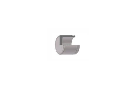 Поршень суппорта переднего Nissan Leaf 10-/Qashqai 07- (45x51mm)(Niss) FRENKIT P455102