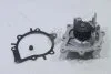 Насос водяний Ford C-Max 11-19/ Focus 10-17 2.0 TDCi (GWF121AM) GMB 'GWF121AM (фото 4)