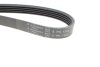 Поликлиновой ремень Poly V® (1253 K 5) HUTCHINSON '1253K5 (фото 3)