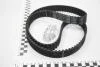Ремень ГРМ Citroen Berlingo, C2, C3, C4, Saxo, Xsara/Peugeot 1007, 106, 206, 307, Partner Hutchinson HUTCHINSON 134APPP25 (фото 1)
