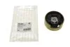Опора двигуна задня нижня VW Caddy, Golf V, Touran Skoda Octavia, Superb, Yeti 1,9TDI-3,2 (03-13) Hutchinson HUTCHINSON 594582 (фото 1)