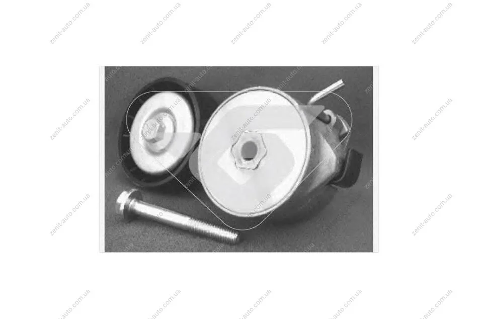 Ролик натяжний 1,4i Fiat Fiorino (08-13), Doblo (05-) Hutchinson HUTCHINSON T0206 (фото 1)