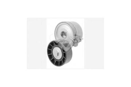 Ролик ременя ГРМ Citroen C5, Jumper/FIAT Ducato, Ulysse/Peugeot Boxer 2.0HDi  HUTCHINSON T0218