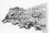 Крышка ГРМ с маслонасосом Elantra (11-), Sonata (10-) 2000 CC - NU DOHC - LPI (21350-2E030) Mobis Hyundai/Kia/Mobis '213502E030 (фото 20)