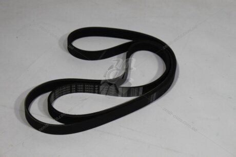 Ремінь генератора (25212-2A101) Mobis Hyundai/Kia/Mobis '252122A101