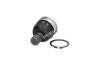 Опора шарова Nissan Juke, NV200, Leaf, Tiida (10-) (18*38,5*66) JAPKO 73135 (фото 3)