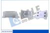 Радиатор масляный Alfa Romeao Mito - Chevrolet Aveo - Fiat Doblo, Doblo Mpv OTO RADYATOR Kale 344540 (фото 3)