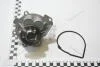 Насос водяний Авео Т250/Т255/Т300//Cruze/Orlando/Trax (25195119) KG0100022 KAP KAP (KoreaAutoParts) 'KG0100022 (фото 1)