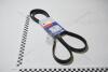 Ремень генератора Лачетти 1,8-2,0 (6PK1892) (25183022) KAP-Gates KAP (KoreaAutoParts) 'KG1100008GATE (фото 2)