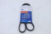 Ремень кондиціонеру Матиз 0,8/Spark KAP KAP (KoreaAutoParts) 'KG1100011 (фото 3)