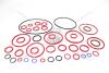 Прокладки ДВС (комплект) (20910-41F00A) D4DB(4D34 TCI 14*PS) HD(04-) KAP KAP (KoreaAutoParts) KM0400754MT (фото 14)