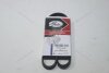 Ремень генератора (97713-1E000) KAP KAP (KoreaAutoParts) 'KM1100001GATES (фото 1)