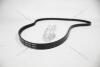 Ремень ГУРа Gates (57170-38010) (5PK1393) Sonata (-01) KAP KAP (KoreaAutoParts) KM1100096GATE (фото 4)