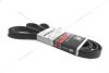 Ремень поликлиновый (25212-2F000) (6PK2506) Kia Sorento II (09-) 2.0/2.2 CRDi Gates KAP KAP (KoreaAutoParts) 'KM1100185GATE (фото 1)