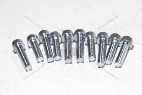 Болт 5х20 внутр шестигранник (8,8 ПР) (цинк) (кратно 10) BS AUTO Метиз 'HSHCS520W