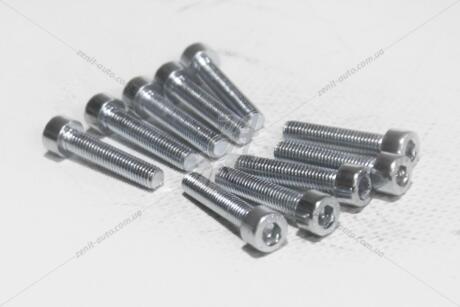 Болт 5х25 внутр шестигранник (8,8 ПР) (цинк) (кратно 10) BS AUTO Метиз 'HSHCS525W