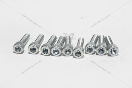 Болт 6х25 внутр шестигранник (8,8 ПР) (цинк) (кратно 10) BS AUTO Метиз 'HSHCS625W