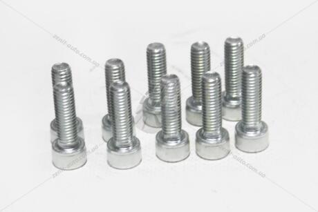 Болт 8х25 внутр шестигранник (8,8 ПР) (цинк) (кратно 10) BS AUTO Метиз 'HSHCS825W
