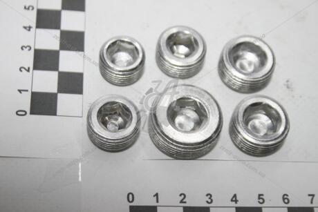 Заглушка блоку 2101 головки (алюм) (к-т 6шт) BS AUTO Метизи Метиз 'KIT211