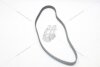 Ремінь ГРМ Renault Trafic II 1.9d MICHELIN '132RU26 (фото 8)