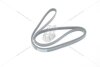 Ремінь поліклиновий Renault Kangoo (97-)/ Dacia Logan (06-) 1.2i MICHELIN '4PK1538 (фото 7)