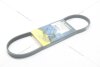 Ремінь поліклиновий Chevrolet Matiz (05-13) 0.8i/ Ford Transit (00-06) 2.0d/ Renault Clio II 1.2i MICHELIN '4PK735 (фото 3)