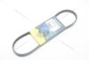 Ремінь поліклиновий Chevrolet Matiz (05-13) 0.8i/ Ford Transit (00-06) 2.0d/ Renault Clio II 1.2i MICHELIN '4PK735 (фото 4)