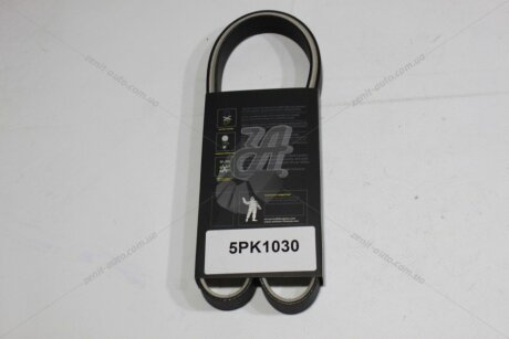 Ремінь поліклиновий (тефлон) Opel Vectra C 2.0, 2.2i/ Toyota Avensis (T22) 2.0i MICHELIN '5PK1030