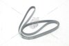 Ремінь поліклиновий Hyundai Terracan (01-06) 2.9d/ VW Passat B5 1.9d MICHELIN '5PK1592 (фото 6)