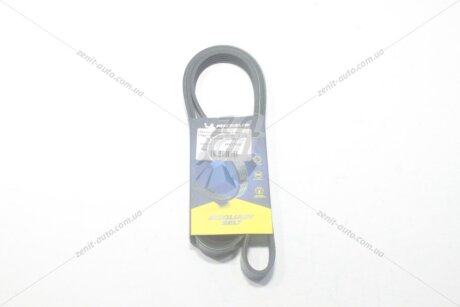 Ремінь поліклиновий Renault Logan I, Kangoo (01-08) 1.4, 1.6i MICHELIN '5PK1750B
