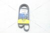 Ремінь поліклиновий Ford Focus III 1.6i, Fusion (02-12) 1.25, 1.4, 1.6i MICHELIN '6EPK1019 (фото 1)
