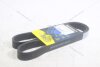 Ремінь поліклиновий Renault Trafic II 2.5d/ Citroen Berlingo (18-) 1.5d, Jumper I 1.9d MICHELIN '6PK1153B (фото 5)