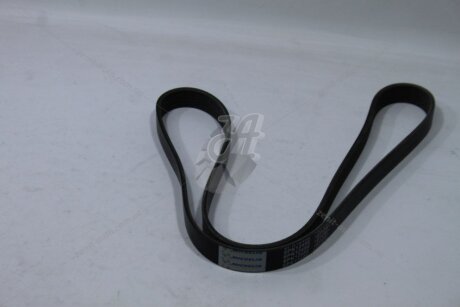 Ремінь поліклиновий Volvo V50 2.0i, S40 II 1.8i/ Ford Focus II 1.8, 2.0i MICHELIN '6PK1249E