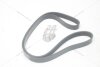 Ремінь поліклиновий Opel Corsa (C,D), Combo (04-12) 1.3d MICHELIN '6PK1318 (фото 8)