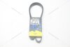 Ремінь поліклиновий VW T4 2.4d/ Citroen Berlingo (05-) 1.6d/ Ford Mondeo V 2.0 EcoBlue MICHELIN '6PK1352 (фото 4)
