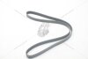 Ремінь поліклиновий VW T4 2.4d/ Citroen Berlingo (05-) 1.6d/ Ford Mondeo V 2.0 EcoBlue MICHELIN '6PK1352 (фото 5)