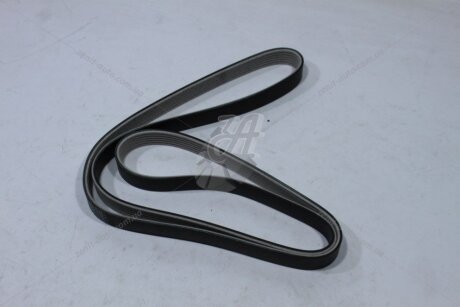 Ремінь поліклиновий (тефлон) Ford Focus III 1.6 EcoBoost/ VW T5, T6 2.0d MICHELIN '6PK1555