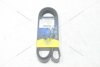 Ремінь поліклиновий Ford Focus III 1.6 EcoBoost/ VW T5, T6 2.0d MICHELIN '6PK1555B (фото 1)