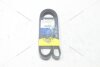 Ремінь поліклиновий Ford Focus III 1.6 EcoBoost/ VW T5, T6 2.0d MICHELIN '6PK1555B (фото 2)